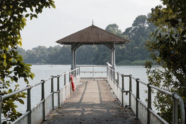 Singapore (Landscapes)